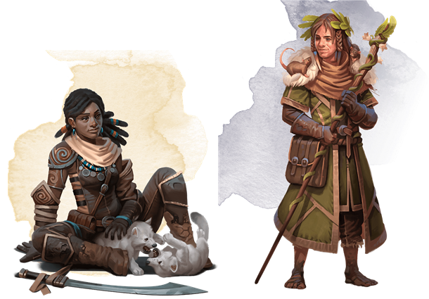 classes/druid